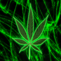 Pot Leaf Keyboard Skin logo