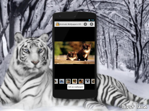 免費下載個人化APP|Animals Wallpapers HD app開箱文|APP開箱王