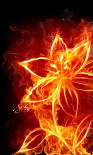 Fire Wallpapers Screenshots 0