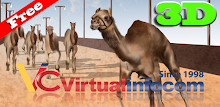 Camel race 3D APK