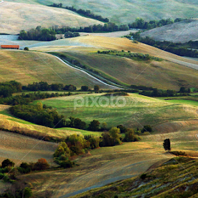 by Gregor Znidarsic - Landscapes Prairies, Meadows & Fields