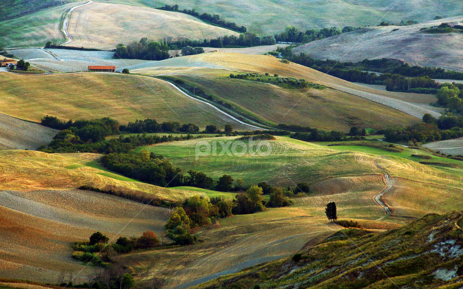 by Gregor Znidarsic - Landscapes Prairies, Meadows & Fields