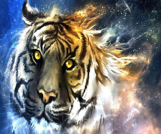 免費下載生活APP|Tiger Wallpapers app開箱文|APP開箱王