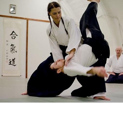 Aikido 6º Kyu en Cobeña LOGO-APP點子