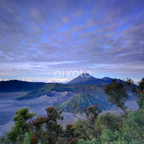 Negeri di Awan by Sulfhian Sultiamiharja - Landscapes Mountains & Hills