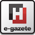 Hurriyet Egazete logo