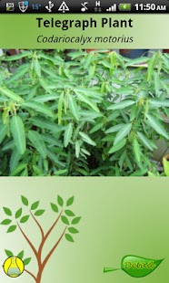 Lastest Guide to Hallucinogenic Plants APK for Android