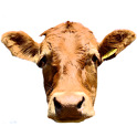 CowCam Deluxe logo