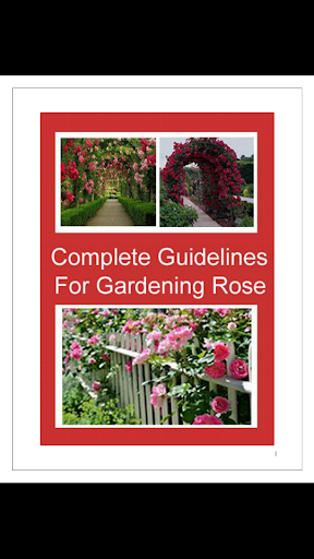 Gardening Rose