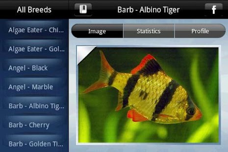 T84nn1kwhak-e_FtRCJ7wkEmhcoyRjQRmwNnnju6ULR-L9X3dkw6-x82EUcDscLzvaw=h310