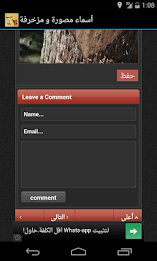 أسماء مصورة و مزخرفة poster 5