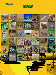 Africa Puzzles Screenshots 1