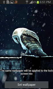 Snowy Owl Live Wallpaper