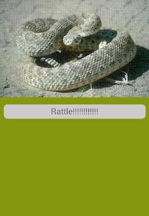 Download Rattlesnake Sounds APK