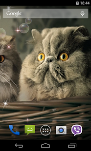 How to get Cute Cats Live Wallpaper 1.0 mod apk for laptop