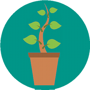 Flower Power B-LE *beta*.apk 1.3