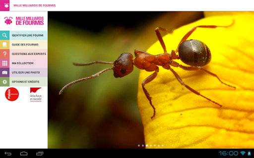 【免費教育App】Mille milliards de fourmis-APP點子