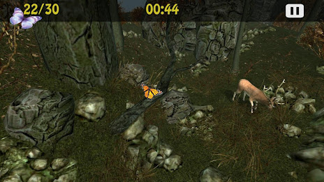 Butterflies Catch Craze 3D poster 19