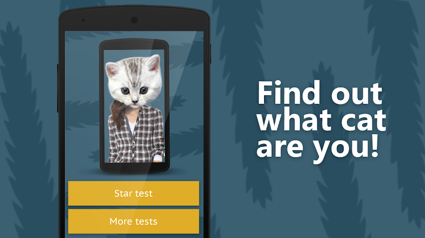 Face scanner: What cat 2 Screen 1