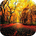 autumn wallpapers mobile app icon