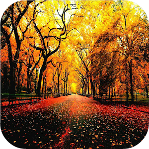 autumn wallpapers 1.1.0