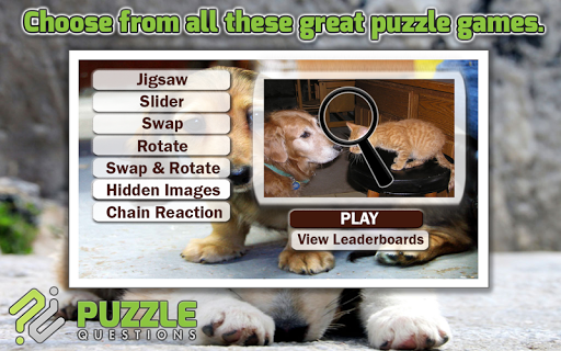 【免費解謎App】Free Dogs and Cats Puzzles-APP點子