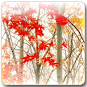 Maple Leaf Live Wallpaper for Android&trade;