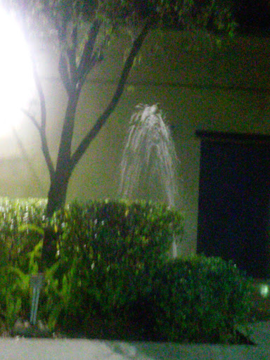 Cooper City Library Outdoor Lighted Fountain 