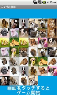 How to install Cute Dog Concentration free patch 1.0.1 apk for laptop