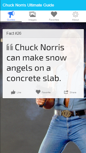 Chuck Norris Ultimate Guide