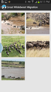 Download Africa Safaris APK