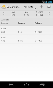 Household Budget Screen 3