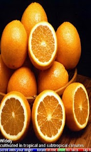 Fruits and Berries - náhled