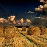 Waiting for the rain by Manuela Dedić -  