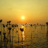 Sunrise in Pramuka Island by Rudi Rachmat -  