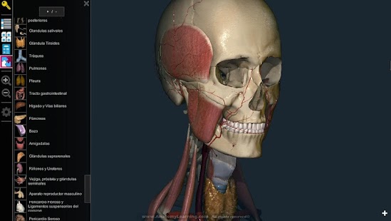  Anatomy Learning - 3D Atlas: miniatura de captura de pantalla  