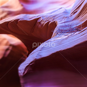 Eagle Has Landed by Flavio Mini - Nature Up Close Rock & Stone