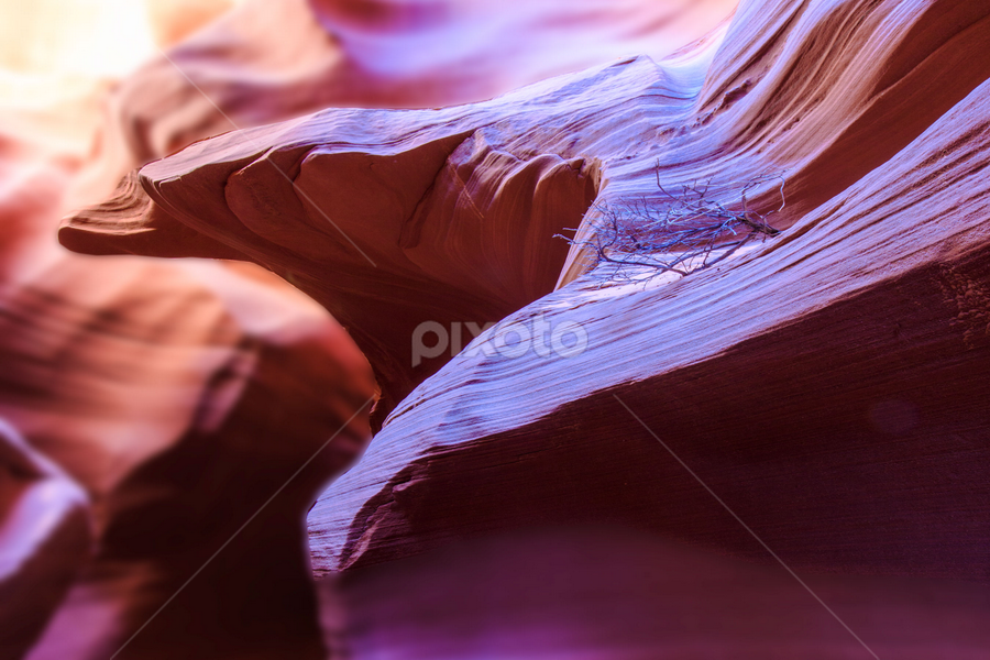 Eagle Has Landed by Flavio Mini - Nature Up Close Rock & Stone