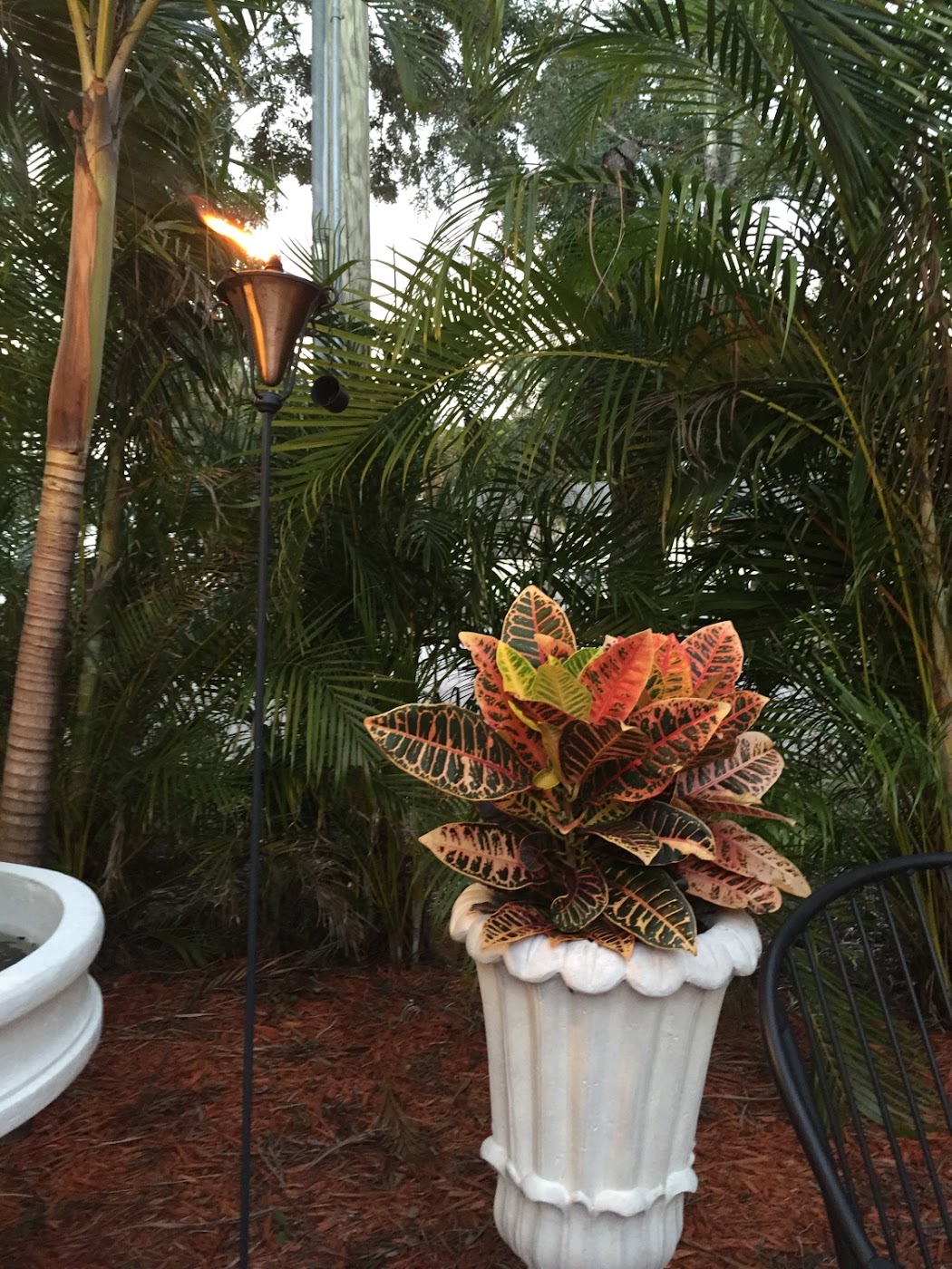 Original Santos Wood Fired Pizza Restaurant GlutenFree Jensen Beach