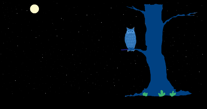 12. What did the owl see in the night?