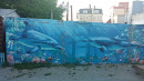 Граффити Дельфины