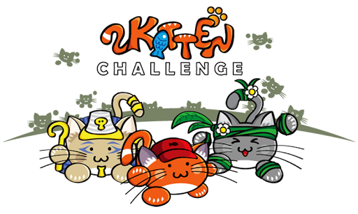 Kitten Challenge: Hardest Game