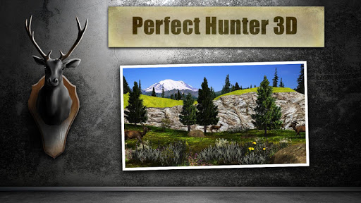 Perfect Hunter 3D