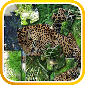 Safari Jigsaw and Slider 1.0.15