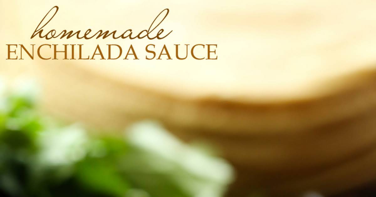 10 Best Mexican Brown Enchilada Sauce Recipes Yummly