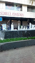 Fountain at Phoneix  Mall