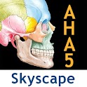 Netter’s Atlas: Upper Limb logo