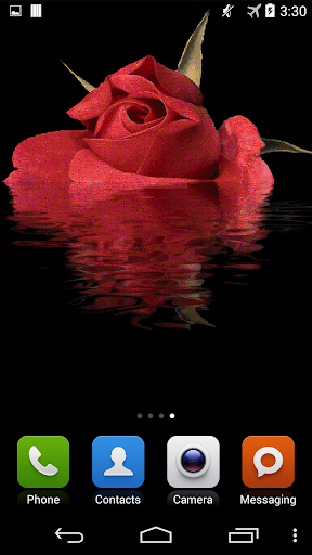 Red Rose In Water LWP
