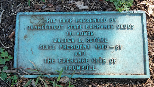 Walter E. Rotzal Memorial Tree
