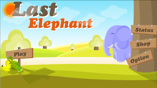 Last Elephant